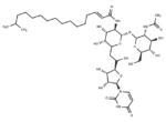 Tunicamycin X
