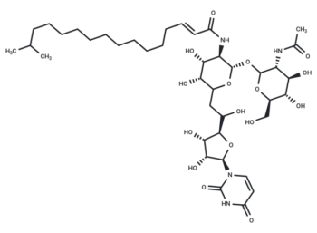 Tunicamycin X
