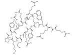 Polyphemusin II-Derived Peptide