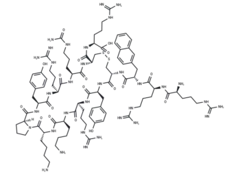 Polyphemusin II-Derived Peptide