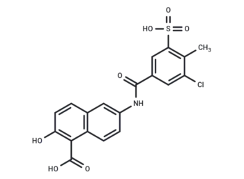 XUN49524