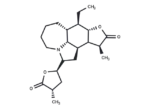 Tuberostemonine D