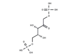 XuBP