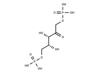 XuBP