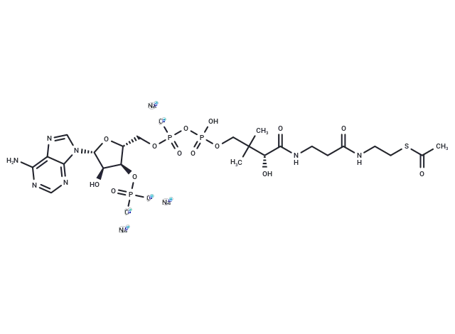 Acetyl Coenzyme A trisodium