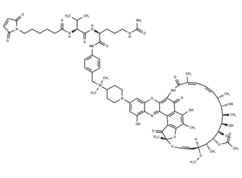 MC-Val-Cit-PAB-dimethylDNA31