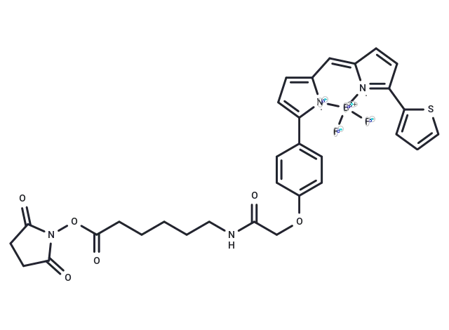 BODIPY TR-X CgoaEWY7MniEf8nwAAAAACYZYN8955- Immunomart