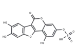 Demethylwedelolactone Sulfate