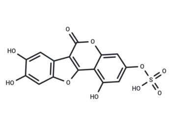 Demethylwedelolactone Sulfate