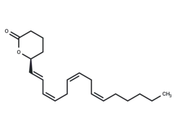 5(S)-HETE lactone