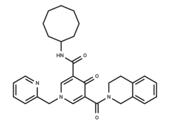W13