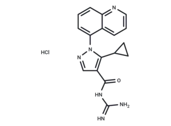 Zoniporide hydrochloride