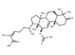 12β-acetoxycoccinic acid