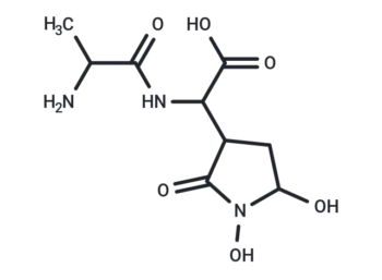 Alahopcin