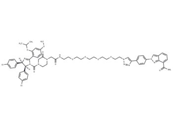 PROTAC PARP1 degrader