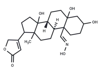 Compound 0449-0116