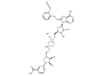 8-(2-azidobenzylthio) NAD+ sodium 1 8-(2-azidobenzylthio) NAD+ sodium