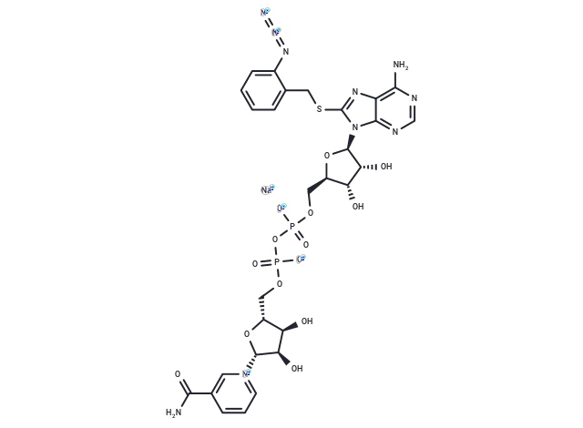 8-(2-azidobenzylthio) NAD+ sodium CgoaEWY7N GEQkEzAAAAAOm0Roo106- Immunomart