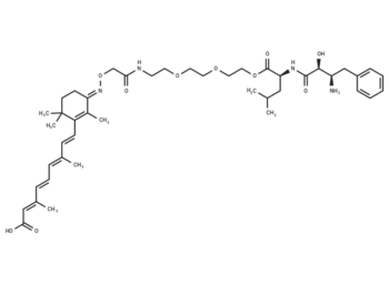 PROTAC CRABP-II Degrader-2