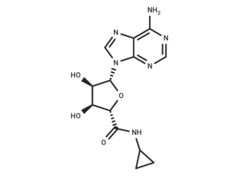 5'-(N-Cyclopropyl)carboxamidoadenosine