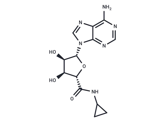 5'-(N-Cyclopropyl)carboxamidoadenosine