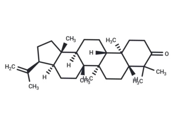 3-Oxo-hop-22(29)-ene