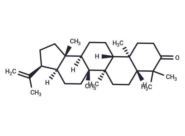 3-Oxo-hop-22(29)-ene