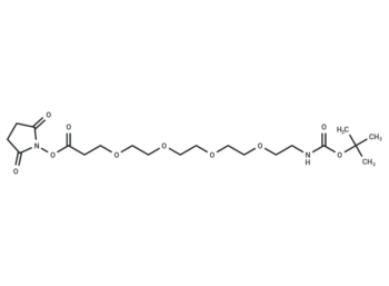 Boc-NH-PEG4-NHS ester