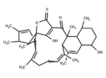 Tetromycin B