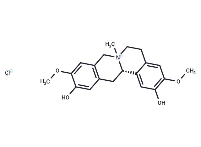 Phellodendrine chloride
