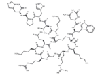 β-Amyloid precursor protein (96-110)