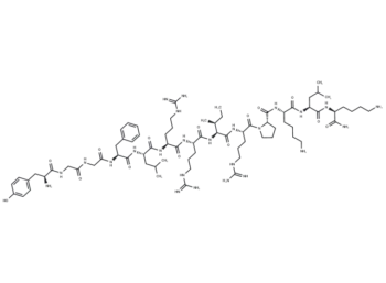 Dynorphin A (1-13) amide