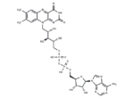 Flavin adenine dinucleotide
