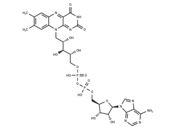 Flavin adenine dinucleotide