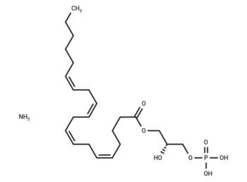 1-Arachidonoyl Lysophosphatidic Acid (ammonium salt)