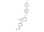 γ-Secretase modulator 11