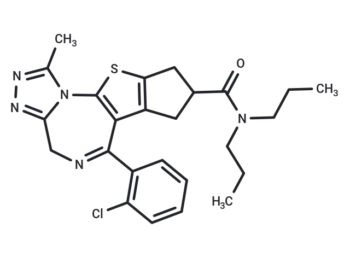 WEB2347