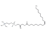 1-Oleoyl-sn-glycero-3-phosphocholine 1 1-Oleoyl-sn-glycero-3-phosphocholine