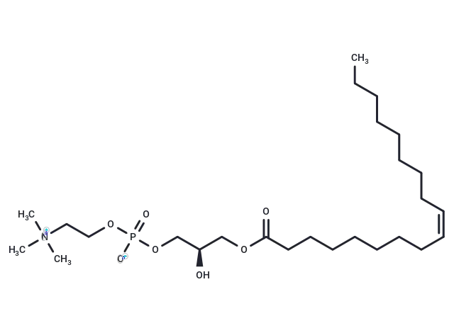 1-Oleoyl-sn-glycero-3-phosphocholine CgoaEWY7NLOEbqs3AAAAADvAJLk688- Immunomart
