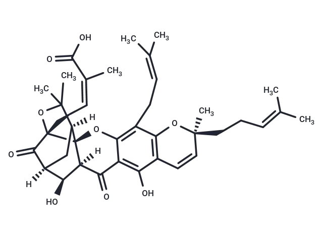 10α-Hydroxyepigambogic acid CgoaEWY7NOaEFTZRAAAAAAlambM502- Immunomart