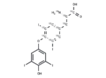 L-Thyroxine-13C9