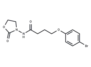 YXL-13