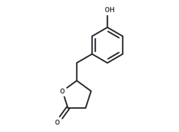5-(3'-Hydroxyphenyl)-γ-Valerolactone