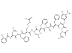 Fluorescent Substrate for Subtillsin