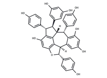 Ampelopsin C