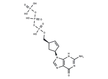 (+)-Carbovir triphosphate