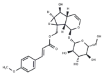 10-O-Trans-p-methoxycinnamoylcatalpol 1 10-O-Trans-p-methoxycinnamoylcatalpol