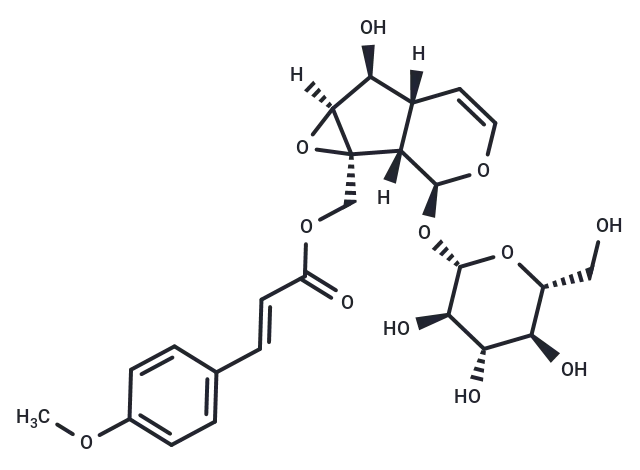 10-O-Trans-p-methoxycinnamoylcatalpol CgoaEWY7Nl EBggwAAAAAITEFmc531- Immunomart