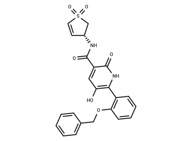 WRN inhibitor 5