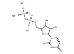 Uridine 5'-diphosphate sodium salt 1 Uridine 5′-diphosphate sodium salt